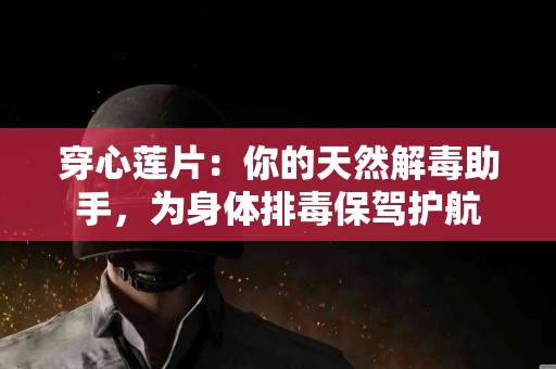 穿心莲片：你的天然解毒助手，为身体排毒保驾护航