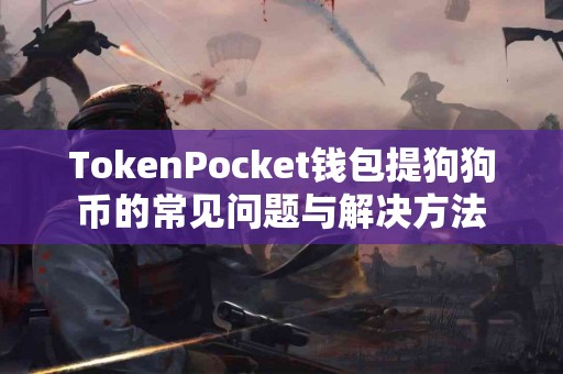 TokenPocket钱包提狗狗币的常见问题与解决方法