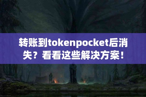 转账到tokenpocket后消失？看看这些解决方案！