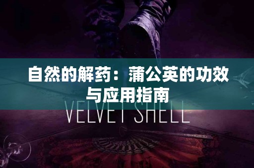 自然的解药：蒲公英的功效与应用指南