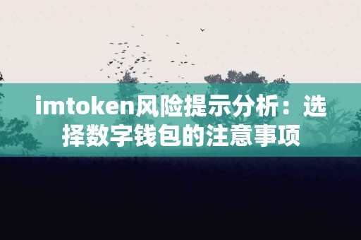 imtoken风险提示分析：选择数字钱包的注意事项