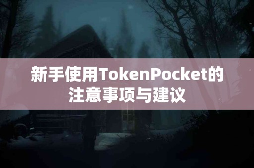 新手使用TokenPocket的注意事项与建议
