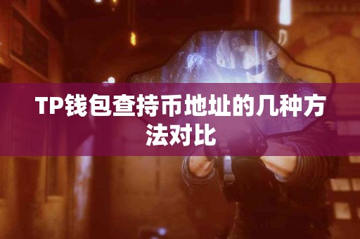TP钱包查持币地址的几种方法对比