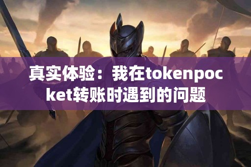 真实体验：我在tokenpocket转账时遇到的问题