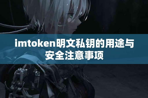 imtoken明文私钥的用途与安全注意事项