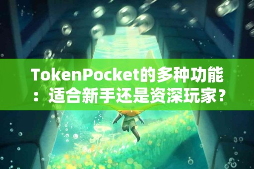 TokenPocket的多种功能：适合新手还是资深玩家？