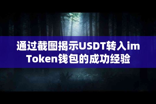 通过截图揭示USDT转入imToken钱包的成功经验