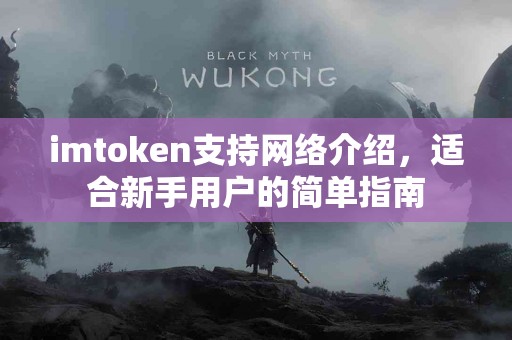 imtoken支持网络介绍，适合新手用户的简单指南