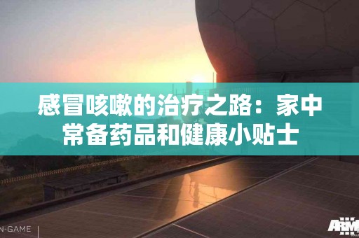 感冒咳嗽的治疗之路：家中常备药品和健康小贴士