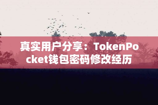 真实用户分享：TokenPocket钱包密码修改经历