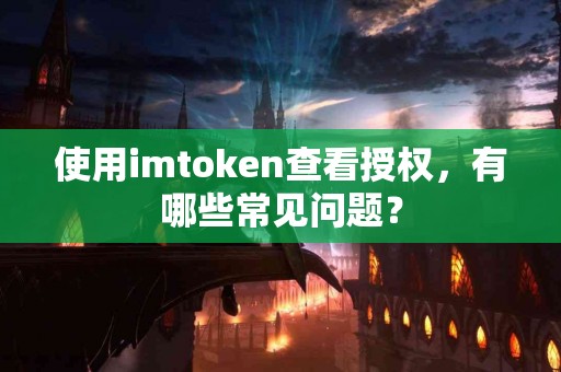 使用imtoken查看授权，有哪些常见问题？