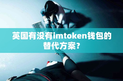 英国有没有imtoken钱包的替代方案？