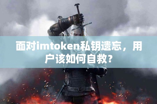 面对imtoken私钥遗忘，用户该如何自救？