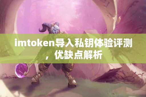 imtoken导入私钥体验评测，优缺点解析