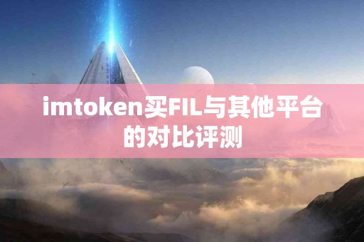imtoken买FIL与其他平台的对比评测