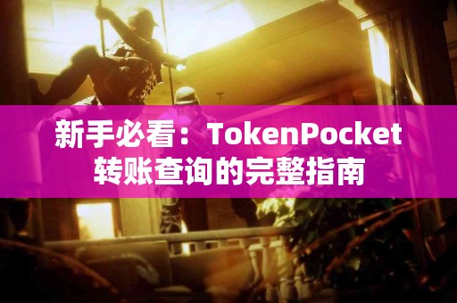 新手必看：TokenPocket转账查询的完整指南