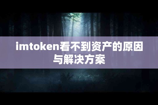 imtoken看不到资产的原因与解决方案