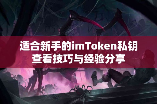 适合新手的imToken私钥查看技巧与经验分享