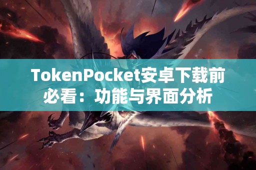 TokenPocket安卓下载前必看：功能与界面分析