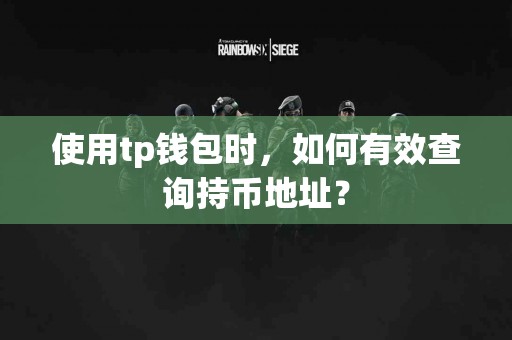使用tp钱包时，如何有效查询持币地址？