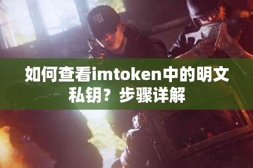 如何查看imtoken中的明文私钥？步骤详解
