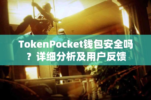TokenPocket钱包安全吗？详细分析及用户反馈