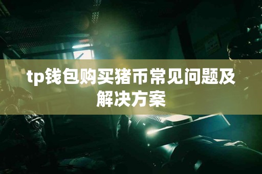 tp钱包购买猪币常见问题及解决方案