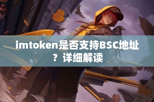 imtoken是否支持BSC地址？详细解读