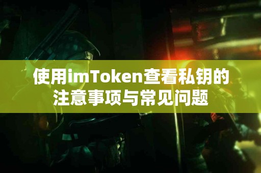 使用imToken查看私钥的注意事项与常见问题