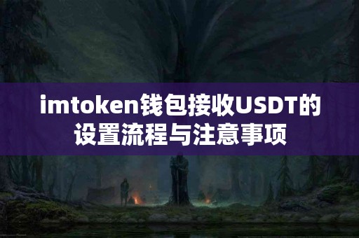 imtoken钱包接收USDT的设置流程与注意事项