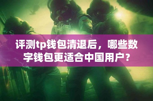 评测tp钱包清退后，哪些数字钱包更适合中国用户？