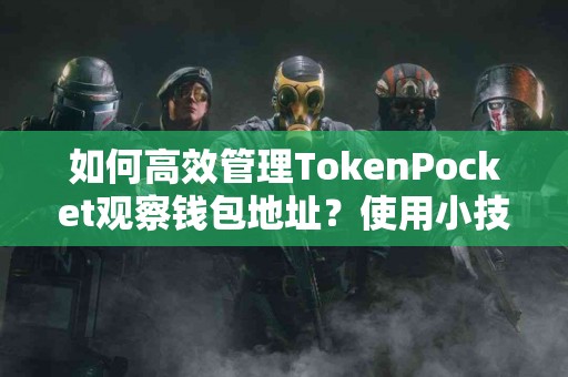 如何高效管理TokenPocket观察钱包地址？使用小技巧