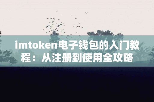imtoken电子钱包的入门教程：从注册到使用全攻略