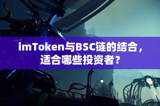 imToken与BSC链的结合，适合哪些投资者？