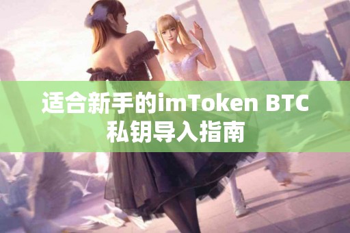 适合新手的imToken BTC私钥导入指南