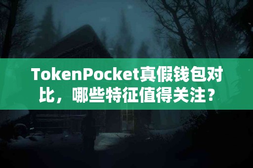 TokenPocket真假钱包对比，哪些特征值得关注？