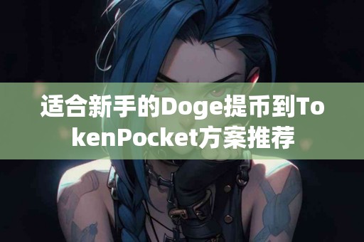 适合新手的Doge提币到TokenPocket方案推荐
