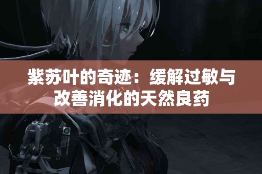 紫苏叶的奇迹：缓解过敏与改善消化的天然良药