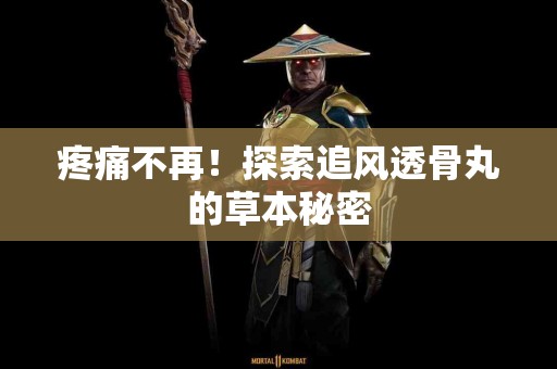 疼痛不再！探索追风透骨丸的草本秘密
