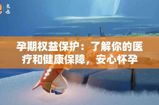 孕期权益保护：了解你的医疗和健康保障，安心怀孕