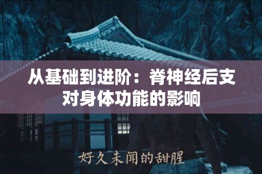从基础到进阶：脊神经后支对身体功能的影响