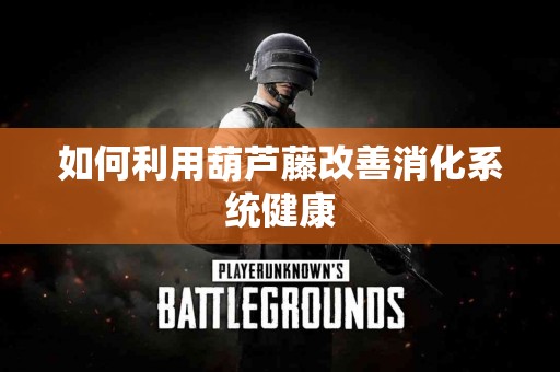 如何利用葫芦藤改善消化系统健康